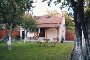 Zozo House